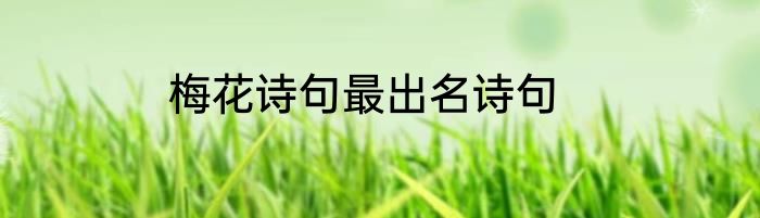 梅花诗句最出名诗句