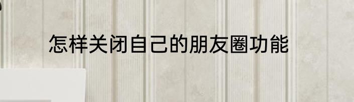 怎样关闭自己的朋友圈功能