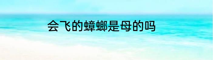会飞的蟑螂是母的吗