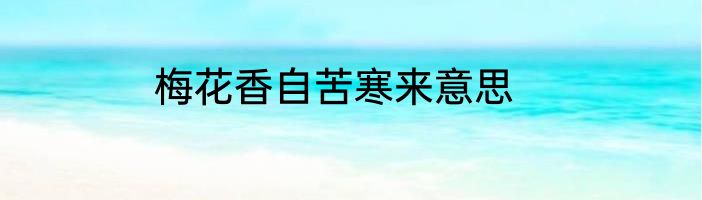 梅花香自苦寒来意思