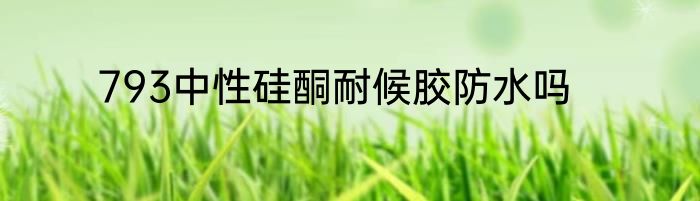 793中性硅酮耐候胶防水吗