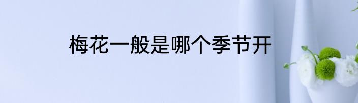 梅花一般是哪个季节开