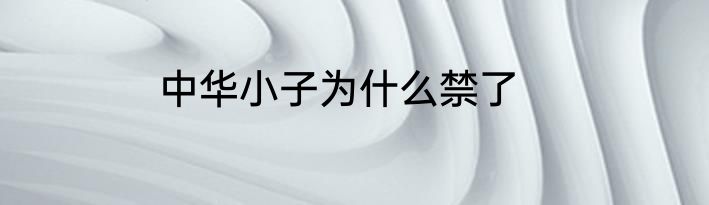 中华小子为什么禁了