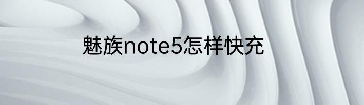 魅族note5怎样快充