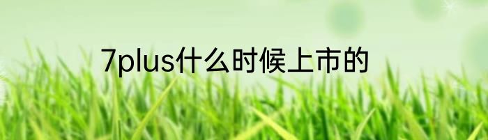 7plus什么时候上市的