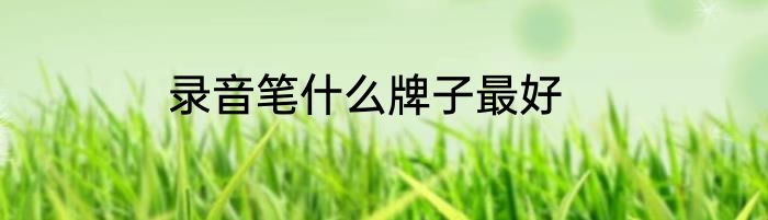 录音笔什么牌子最好