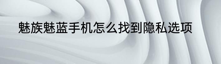 魅族魅蓝手机怎么找到隐私选项