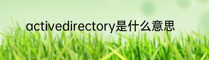activedirectory是什么意思
