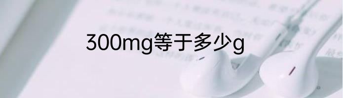 300mg等于多少g