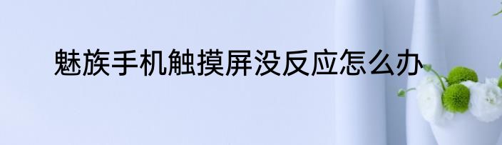 魅族手机触摸屏没反应怎么办