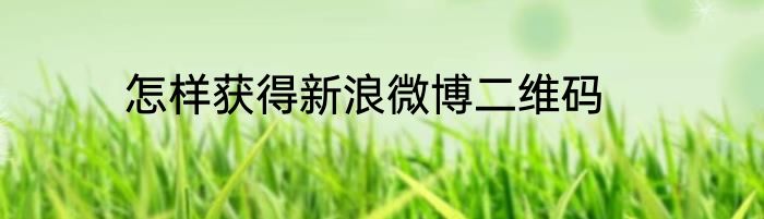 怎样获得新浪微博二维码