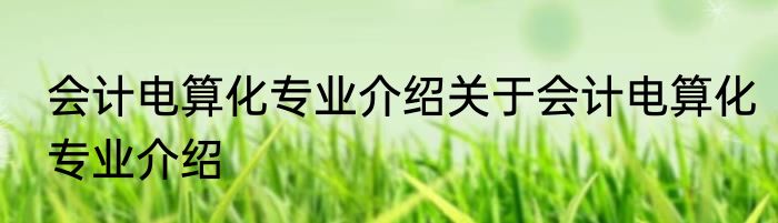 会计电算化专业介绍关于会计电算化专业介绍