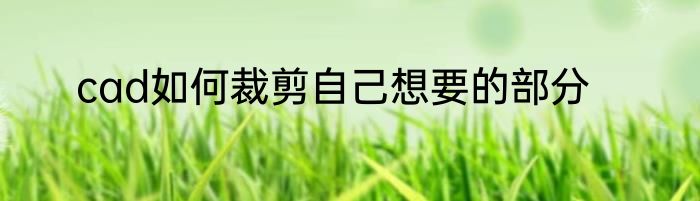 cad如何裁剪自己想要的部分
