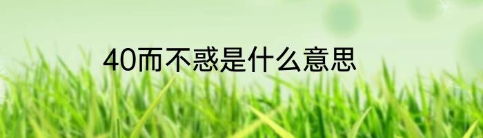 40而不惑是什么意思