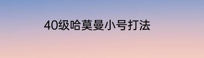 40级哈莫曼小号打法