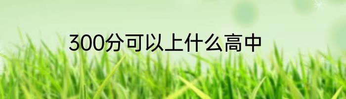 300分可以上什么高中