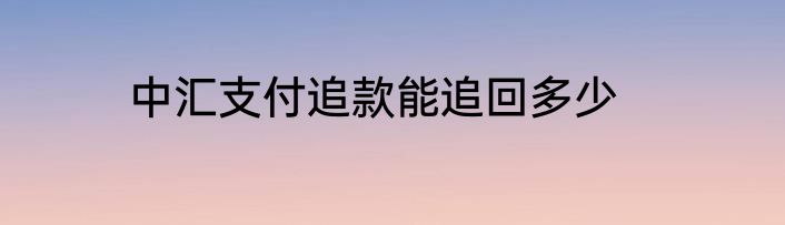 中汇支付追款能追回多少