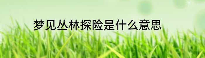 梦见丛林探险是什么意思