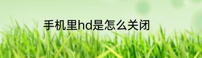 手机里hd是怎么关闭