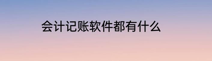 会计记账软件都有什么