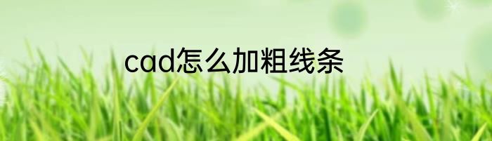 cad怎么加粗线条