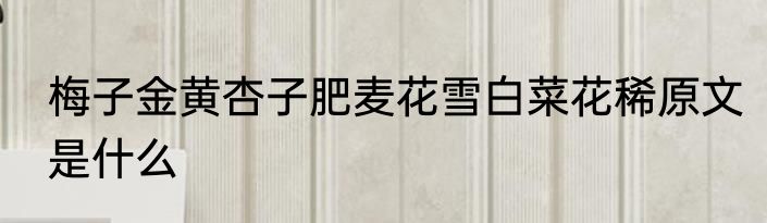 梅子金黄杏子肥麦花雪白菜花稀原文是什么