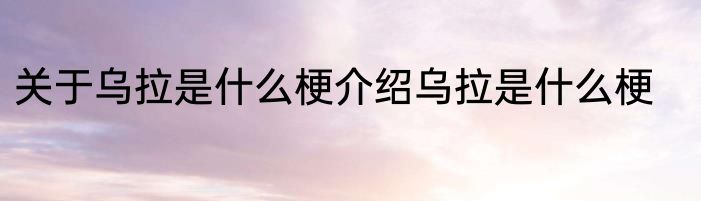 关于乌拉是什么梗介绍乌拉是什么梗