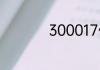 300017什么资产购买