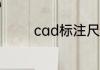 cad标注尺寸怎么修改大小
