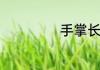 手掌长痣代表什么