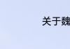关于魏佳艺的简介