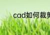 cad如何裁剪自己想要的部分