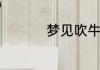 梦见吹牛皮是什么预兆