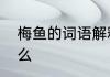 梅鱼的词语解释梅鱼的词语解释是什么