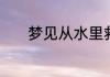 梦见从水里救出小孩周公解梦