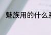 魅族用的什么系统有自己的系统吗