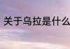 关于乌拉是什么梗介绍乌拉是什么梗