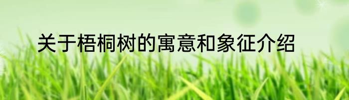 关于梧桐树的寓意和象征介绍