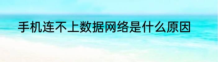 手机连不上数据网络是什么原因