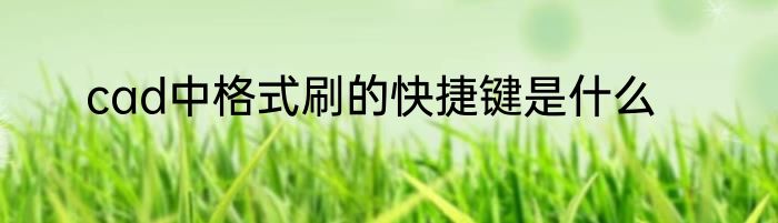 cad中格式刷的快捷键是什么