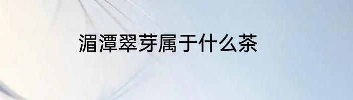 湄潭翠芽属于什么茶