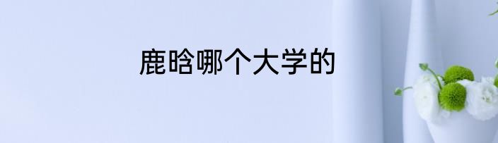 鹿晗哪个大学的
