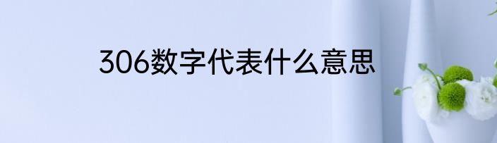 306数字代表什么意思