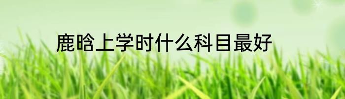 鹿晗上学时什么科目最好