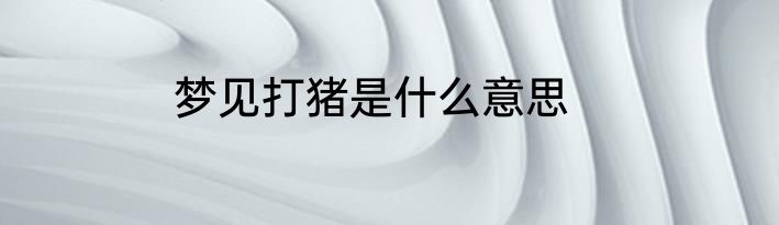 梦见打猪是什么意思