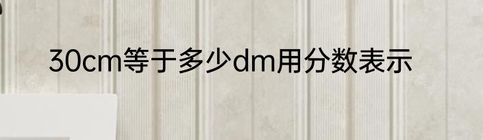 30cm等于多少dm用分数表示