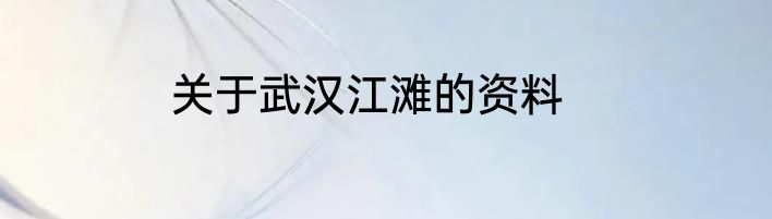 关于武汉江滩的资料