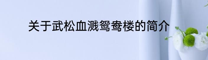 关于武松血溅鸳鸯楼的简介