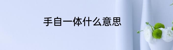 手自一体什么意思