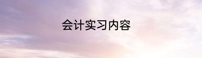 会计实习内容